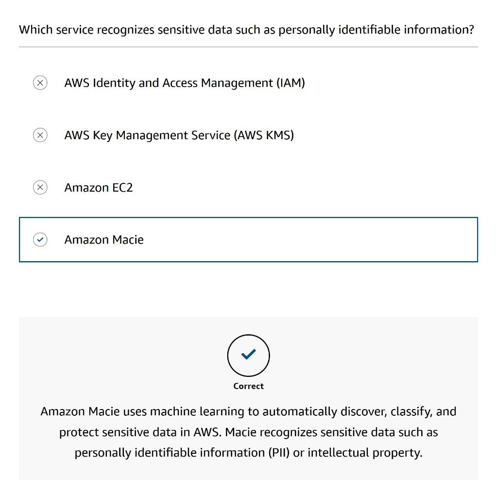 Knowledge check question with correct answer selected and explanatory feedback displayed
